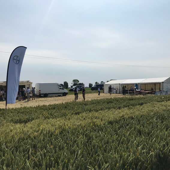 G H Hoyles Open Days